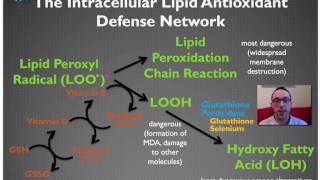 Introduction to the Antioxidant System  Masterclass With Masterjohn 13 [upl. by Nettirb402]