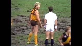 Dermott Brereton  Umpire dissent [upl. by Natanhoj111]