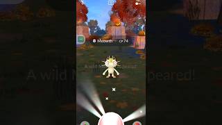 Caught a Meowth in Pokemon go pokemongo [upl. by Reiner]