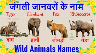 Wild Animals Names With Picture  जंगली जानवरों के नाम  Wild Animals Names In Hindi And English [upl. by Barger]