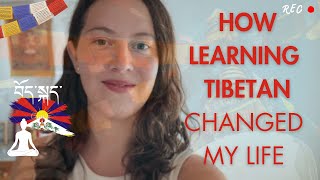 How Learning Tibetan Changed My Life [upl. by Stuart875]