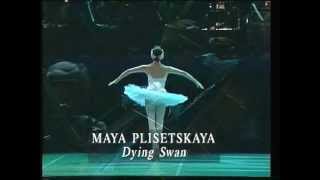 Maya Plisetskaya quotThe dying swanquot [upl. by Pavla]