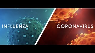 Coronavirus Does Kill More Than Flu—Times 20 [upl. by Etnohc]