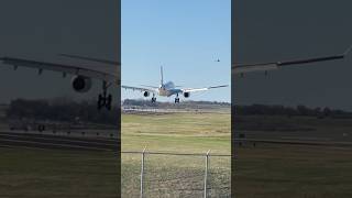 Lufthansa’s A330 STL airport friend’s footage planespotting airplane [upl. by Jermain]