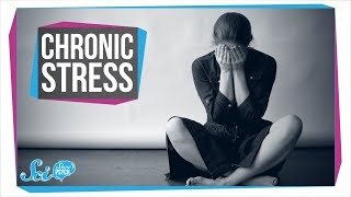 How Chronic Stress Harms Your Body [upl. by Airdnat]