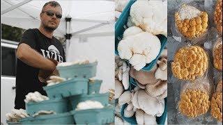 7 Years Of Mushroom Farming Has Taught Me This [upl. by Gaylor]