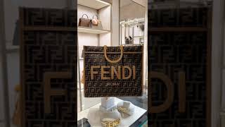 Big or Mini Fendi Bags The Choice is Yours [upl. by Bat]