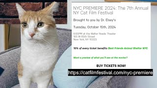 CATS EYE WITNESS NEWS  7TH ANNUAL NY CAT FILM FESTIVAL [upl. by Mlehliw481]