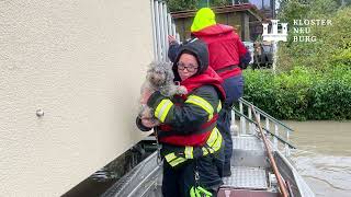 Hochwasser 2024 Klosterneuburg [upl. by Rosenblatt567]