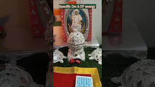 Specific Dm amp DF Energy।।viralshorts youtube tarot love youtubecurrentfeelings [upl. by Abdulla]