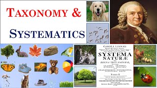 Taxonomy  Systematics  Carolus Linnaeus  Part 1 [upl. by Eecyac]