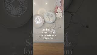 Our NEW Scentsy Air will be your goto for any large space fragrance dontbesmelly [upl. by Field]