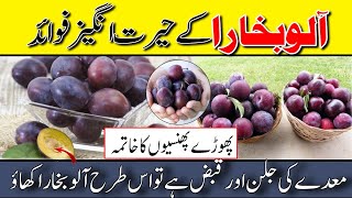 Health Benefits Of Eating Plum Fruit  Aloo Bukhara Khane Ke Fayde in Urdu Hindi [upl. by Aliac665]