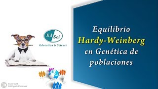 Equilibrio Hardy Weinberg ⚖ en Genética de Poblaciones🌎😃💡 [upl. by Ydwor]