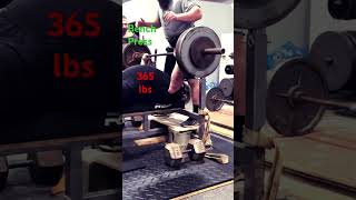 365 pound bench press bench benchpress benchwork benchpressworkout upperbodyworkout chest [upl. by Adniral2]