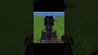 How To Tame A Horse in Minecraft minecraft [upl. by Albrecht]