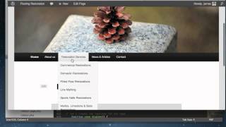 Wordpress CMSCustom Menus Tutorial [upl. by Eornom]