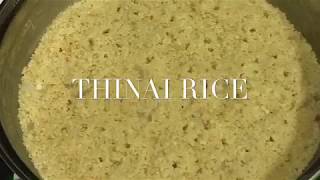 How to cook Thinai Foxtail Millet திணைEasy rice variety [upl. by Kerred198]