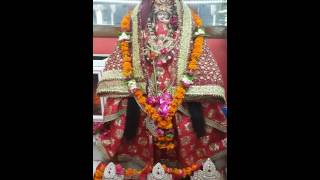 Kamakhya devi live Darshan [upl. by Akirehs985]