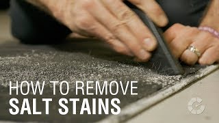 How To Remove Salt Stains  Autoblog Details [upl. by Adnorahs]