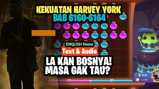 Pastinya Harvey York Tahu Semuanya  Master Poison Bb 61606164 [upl. by Burgwell351]