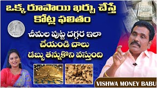 అత్యవసరంగా ధనాన్ని ఆకర్షించాలంటే Vishwa Money Babu  5X55 Law of Attraction Technique In Telugu [upl. by Oribel]