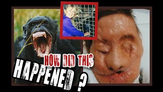 The MOST Terrifying Chimpanzee Attack Charla Nashs Survival Story charla travis oprah [upl. by Sylvie]