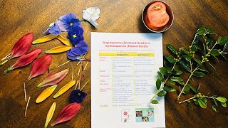 Angiosperm Plants vs Gymnosperm Plants [upl. by Gutow]