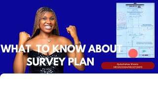 SURVEY PLAN amp ALL IT ENTAILS realestatedocumentation landforsaleinlekkilagos legaladviceproperty [upl. by Miarfe]