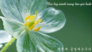 Vietsub Lyrics Jonghyun  Diphylleia Grayi  Skeleton Flower 종현  산하엽 [upl. by Peggir]