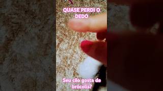 Qual a comida preferida do seu cachorro Quase perdi o dedo Brócolis pet  song  music [upl. by Neyuh156]