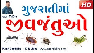 જીવજંતુઓના નામ  Insects name in Gujarati  Kids Video by Puran Gondaliya [upl. by Olivie]