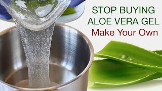 How To Make Homemade Plain Aloe Vera Gel With 100 Fresh Aloe Vera Gel  You Need Just 4 Ingredients [upl. by Namrac201]