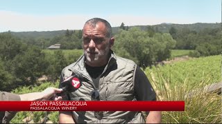 Residents workers near Point Fire react to wildfire burning in Sonoma County [upl. by Nottirb]