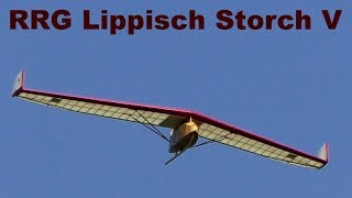 RRG Lippisch Storch V scale RC flying wing 2020 [upl. by Nanni]