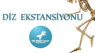 Diz Ekstansiyonu Knee Extension [upl. by Farny]