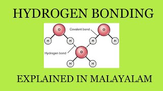 Hydrogen Bonding Inter amp Intra Chemical Bonding Chapter 4 Class 11 Part9  Focus AreaMalayalam [upl. by Nnayram]