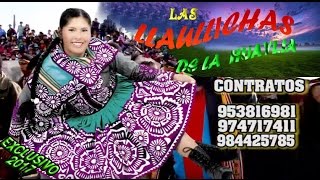 LLAULLICHAS DE LA HUAYLIA PRIMICIA 2017 4Cervesita NegraDVD [upl. by Child]