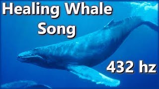 Healing Whale Song  Relaxing Music amp Sounds Of Whales Singing In The Sea  432 Hz [upl. by Junieta]