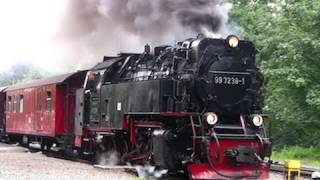 Der Harz dampft 22  Dampflok  Steam Train  Eisenbahn  Zug [upl. by Morville]