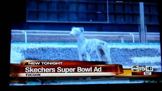 BOYCOTT SKECHERS  GREYHOUND COMMERCIAL [upl. by Refinnej147]