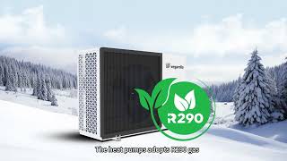 R290 gas Monobloc 15kw Air to water heat pump for Hotel heating cooling and domestic hot water [upl. by Namzaj]