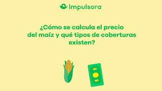 ¿Cómo se calcula el precio del maíz [upl. by Leiad]