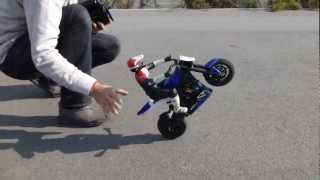 RC Bike Wheelie Device [upl. by Eixel]