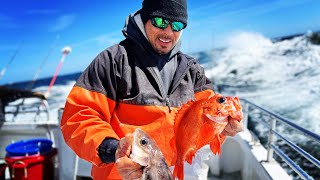 New Hampshire Bottom Fishing for Cod Haddock Redfish…Eastmans Dock 2023 [upl. by Assira]