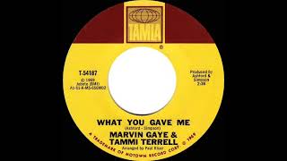 1969 HITS ARCHIVE What You Gave Me  Marvin Gaye amp Tammi Terrell mono 45 [upl. by Murton807]