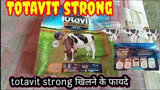 Totavit strong gay ko khilane ke faideTotavit strong for Cow🐄Mineral mixturebenefits [upl. by Asilana]