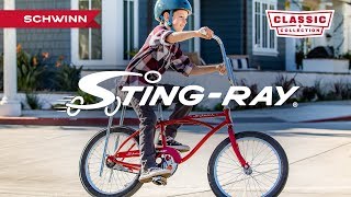 Schwinn StingRay  A Timeless Kids Cruiser Bike [upl. by Arteid]