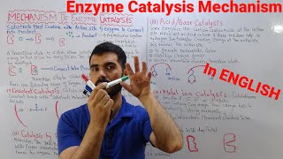 Mechanism of Enzyme Catalysis Four Main Mechanism of Enzyme catalysis Detailed Discussion In ENGLISH [upl. by Flanders225]