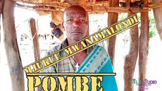 mjukuu mwanamalondi  song pombe dj sele luhafwe 2024 [upl. by Hermann316]